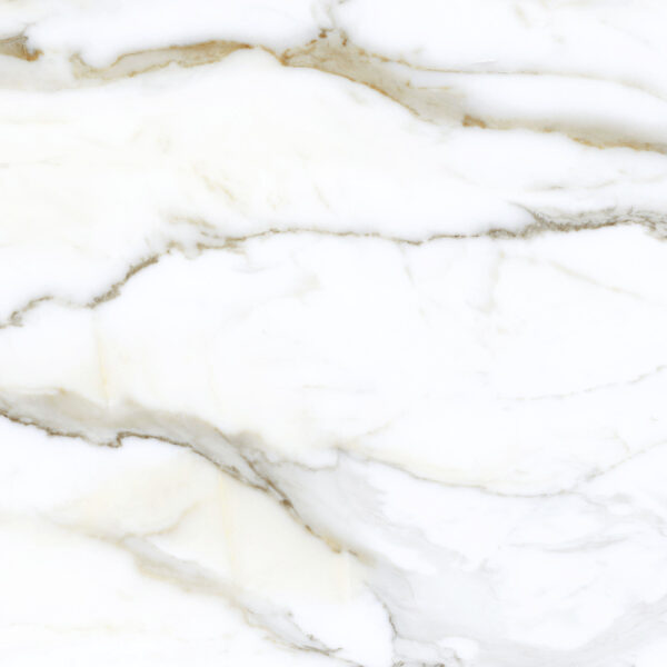 Porcelanato Calacatta Pan Polido 94x94 (cod23194)